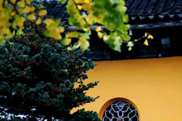 日柱地支子:生活与性格的独特印记 日柱地支子:生活与性格的独特印记