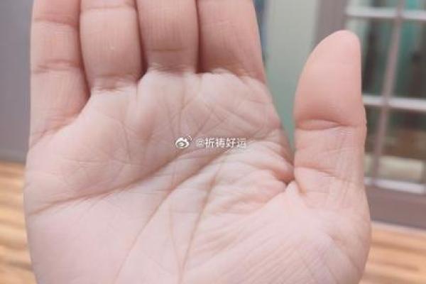 桃花朵朵开，手相揭秘你的爱情运势！