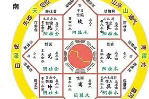 财源滚滚来：揭秘男人招财风水秘籍