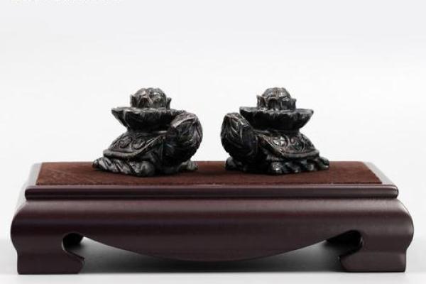 风水大师揭秘：家居摆放龟的神奇功效