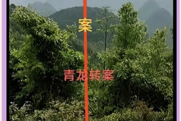 风水秘籍，助你找到梦中情人