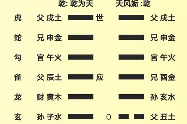 探索地支全为子亥的深层意义 探索地支全为子亥的深层意义