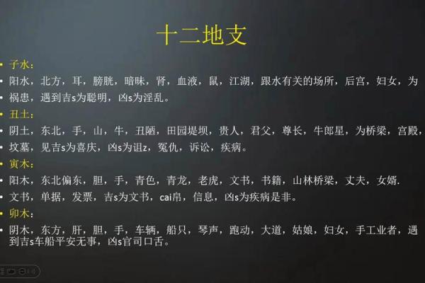 探索地支丑与老婆丑的关系与影响 探索地支丑与老婆丑的关系与影响
