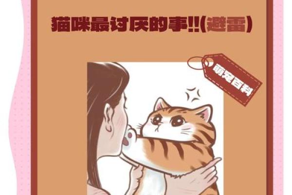 家中养猫的风水禁忌与破解方法