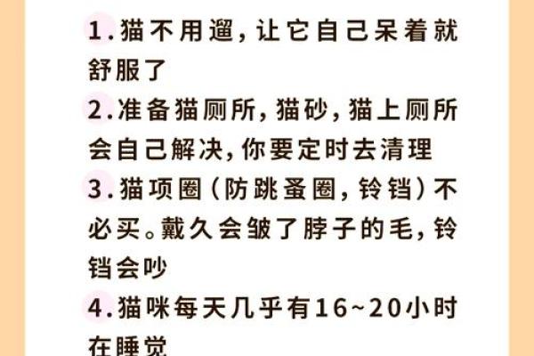 家中养猫的风水禁忌与破解方法