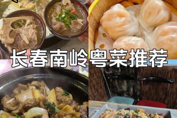 从岭南美食看中国传统饮食文化的独特魅力