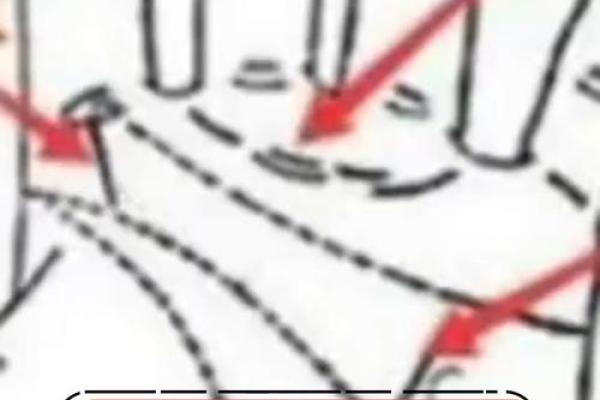 手掌秘密：揭秘女性右手手相的惊人奥秘