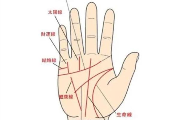 男手相图揭秘，掌握财运人生！