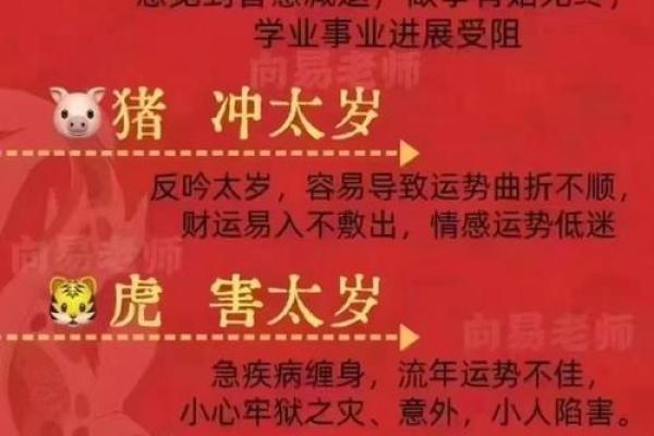 斐字的五行属性及其对命运的影响