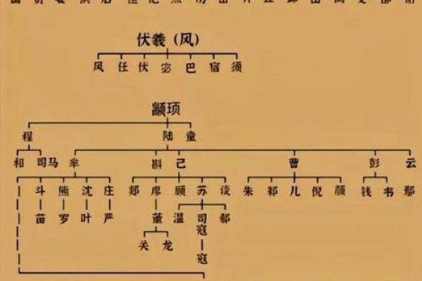 为什么姓不的名字如此稀有？揭秘其历史与文化