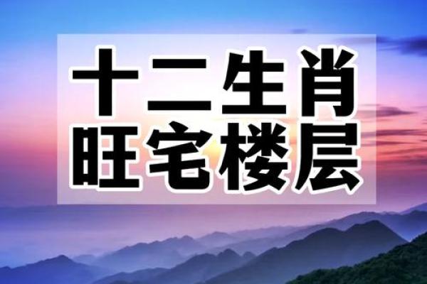揭秘阳宅风水：命卦指引，助你打造旺宅吉居