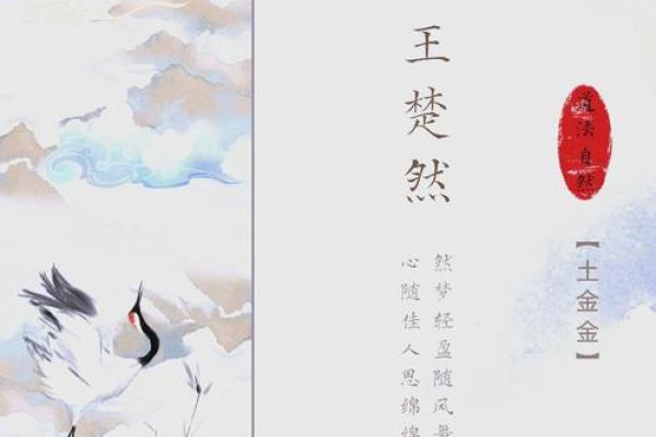 姓名中的自然之美：带然名字的独特韵味