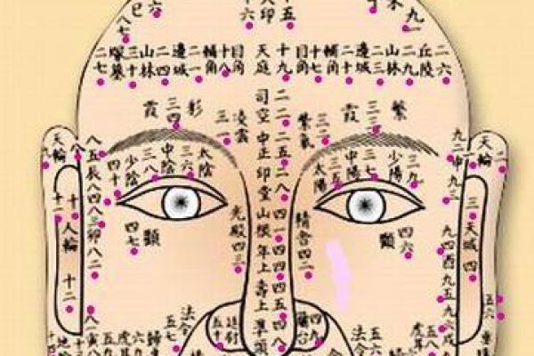风水学中的蚂蚁相：潜藏的运势玄机
