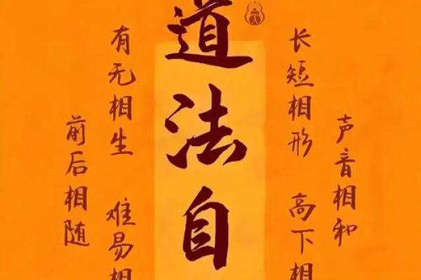 风水学中的蚂蚁相：潜藏的运势玄机