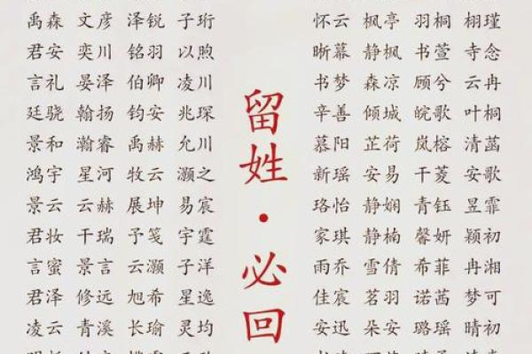 鸡年淳朴女宝宝名字精选