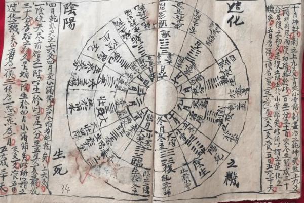火鹤办公室风水秘籍，助你事业腾飞