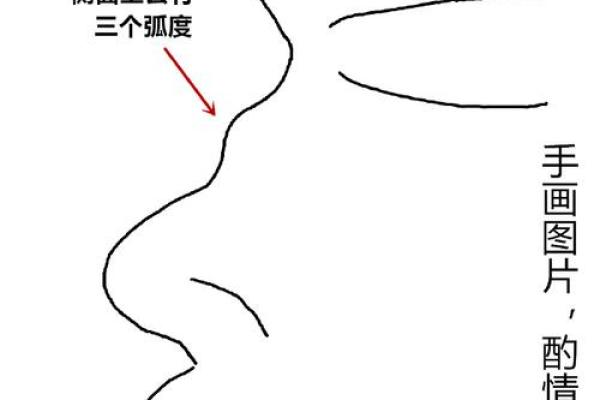 鼻偷面相，揭秘运势高低！