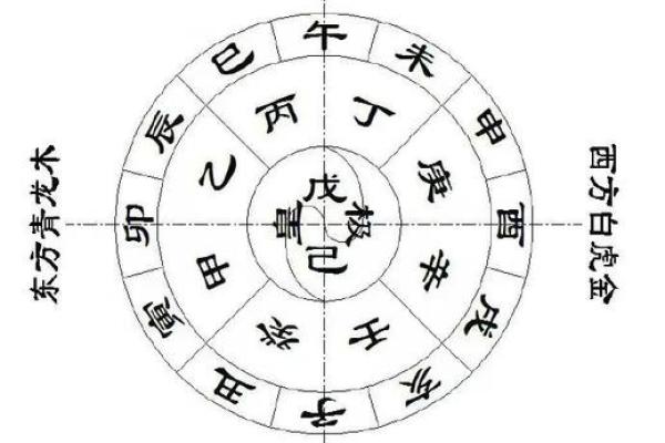 戊戌地支与五行的深层联系 戊戌地支与五行的深层联系