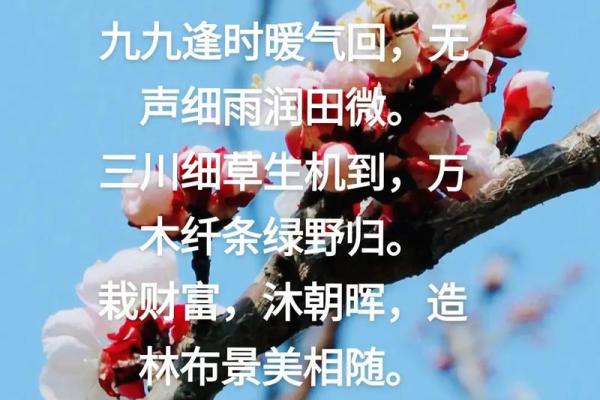 田文名字运势解析:田名之韵,好运相随 田文名字运势解析:田名之韵,好运相随