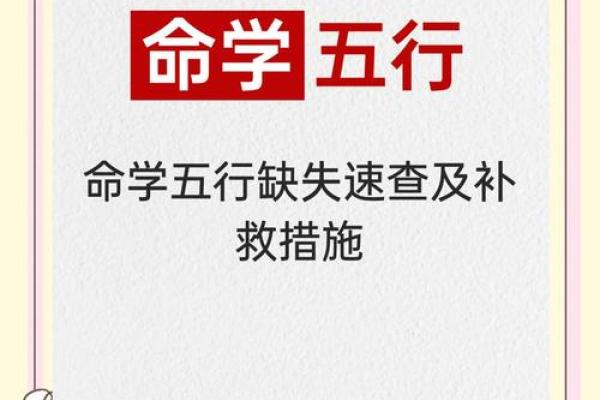 舍五行在命理学中的作用