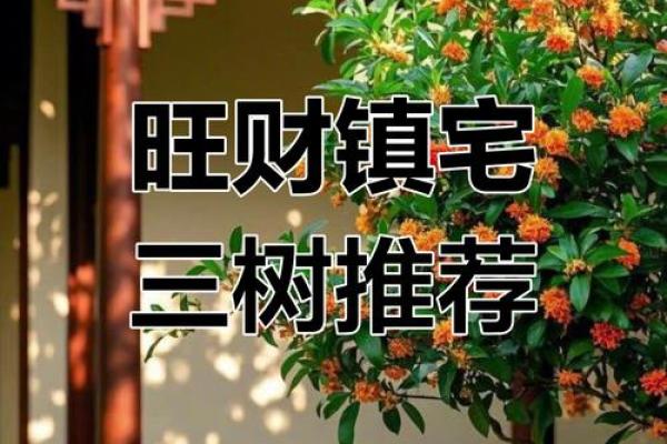 东北旺宅，财运亨通，家门兴旺秘籍