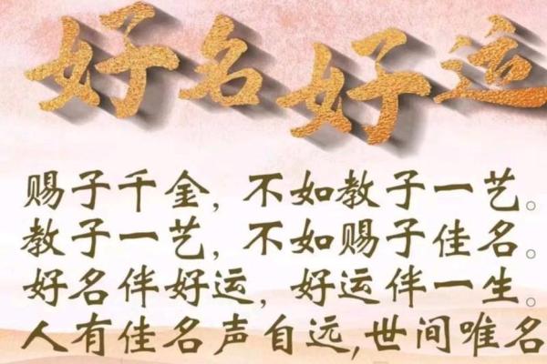 佳名高远，宝宝成长路
