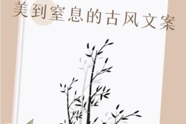 古风大气：文言文公司名称的独特魅力
