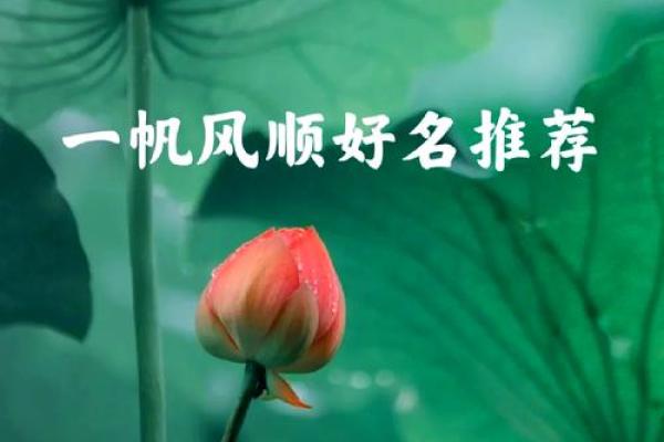 刘宜名字运势:宜人如风,运势风生水起 刘宜名字运势:宜人如风,运势风生水起