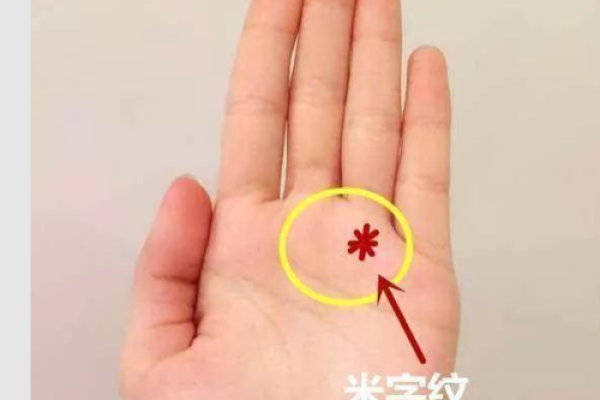 米字手相密码大公开