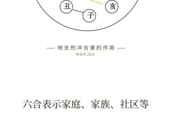 从命理角度看地支相合的深层含义 从命理角度看地支相合的深层含义