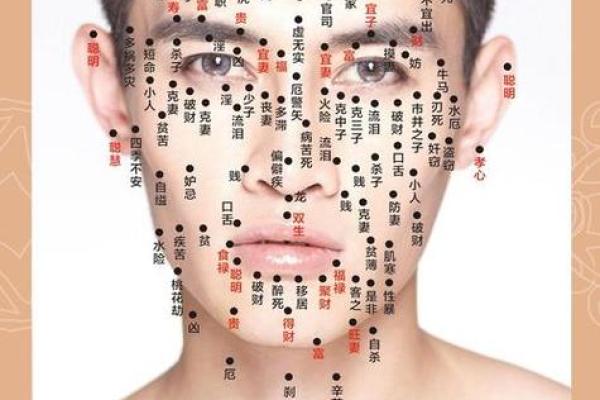 发际乱面相：揭秘影响运势的神秘面相秘密！