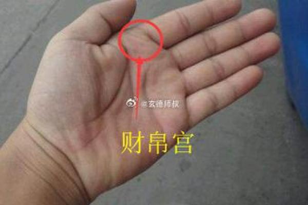 手相大师揭秘：痦子位置大揭秘，运势密码一网打尽！