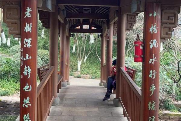 陈丹凤:凤凰展翅,丹心映照人生运势 陈丹凤:凤凰展翅,丹心映照人生运势