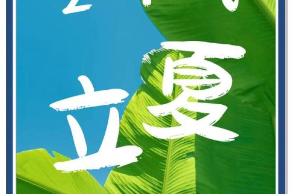 立夏习俗中的传统文化与现代生活碰撞