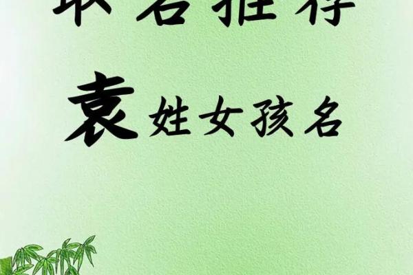 袁姓男孩名字精选，带给孩子一生的好运与智慧