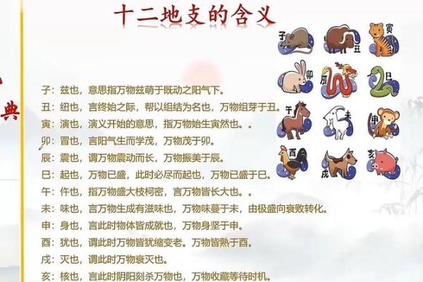 十二地支中的“想破”象征了什么? 十二地支中的“想破”象征了什么?