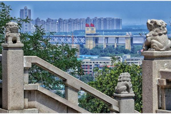 阳光灿烂夏至日，传统习俗映古今