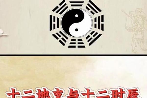 解读十二地支的传统智慧与现代价值 解读十二地支的传统智慧与现代价值