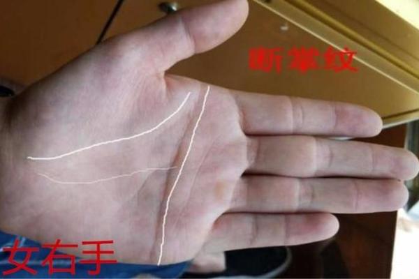 一线牵情：手相心线，解码你的人生轨迹