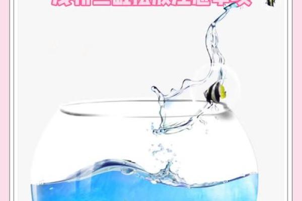 家中风水必备：招财鱼缸，财运亨通的秘密武器！