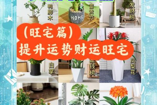破解阳宅厨房风水大忌，让你的家财运亨通
