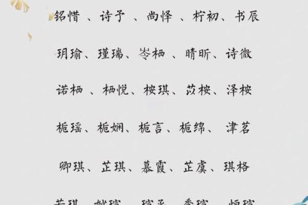 2014年宝宝取名指南：经典与现代交融的美丽名字推荐