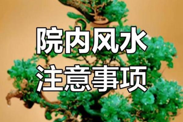 风水禁忌之地：揭秘居家不宜之地，避开这些，好运自然来