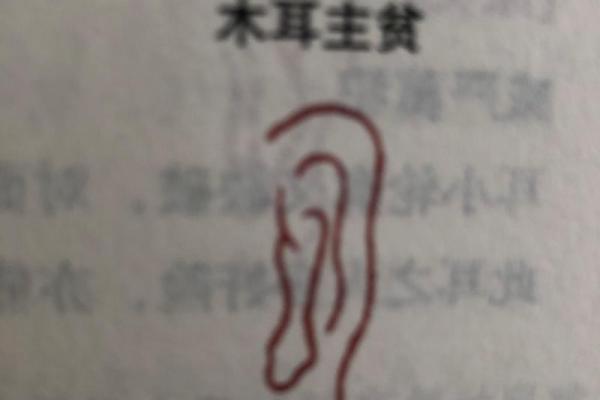 耳屏残缺，命运逆袭的秘密