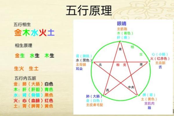 旋字五行归属与命理影响