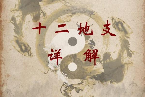 十二地支高清图片大全 十二地支高清图片大全