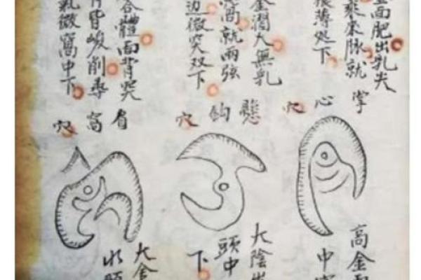 阳宅风水与阴宅风水大揭秘：一眼辨优劣，居家风水秘籍大公开