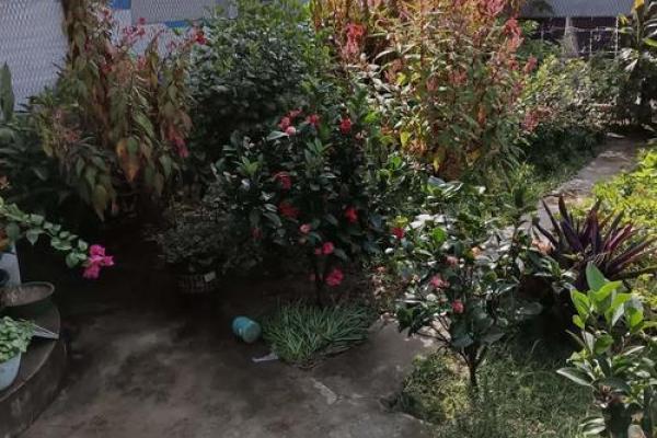 墙面装饰与风水：农村小院壁纸的选购与布局指南
