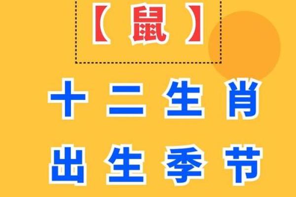 鼠年风水必备，财运亨通神器