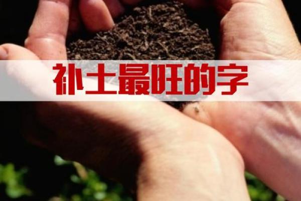 五行属土字的独特魅力